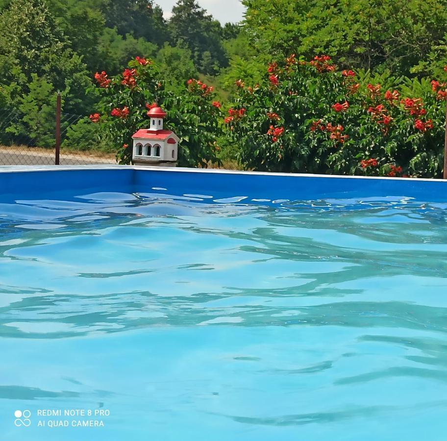 Guest House Vila Aleksa Bogutovac Kültér fotó
