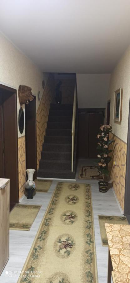 Guest House Vila Aleksa Bogutovac Kültér fotó