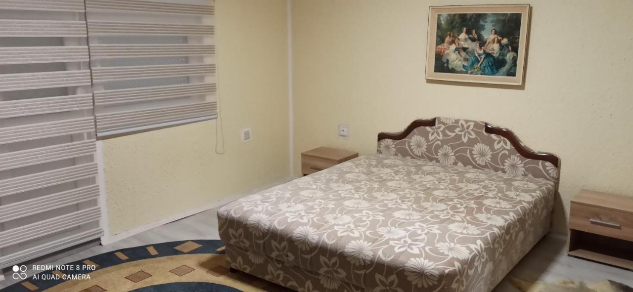 Guest House Vila Aleksa Bogutovac Kültér fotó