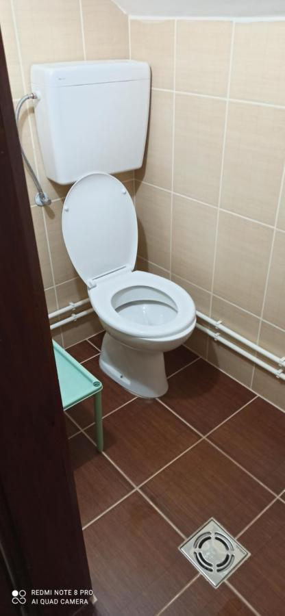 Guest House Vila Aleksa Bogutovac Kültér fotó