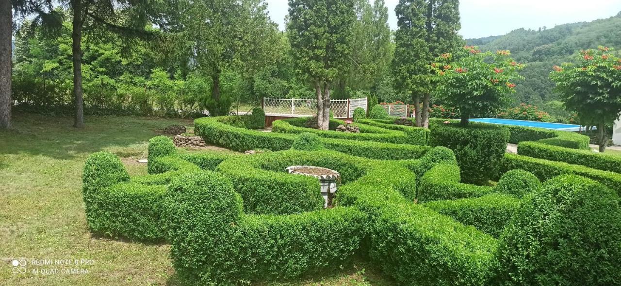 Guest House Vila Aleksa Bogutovac Kültér fotó