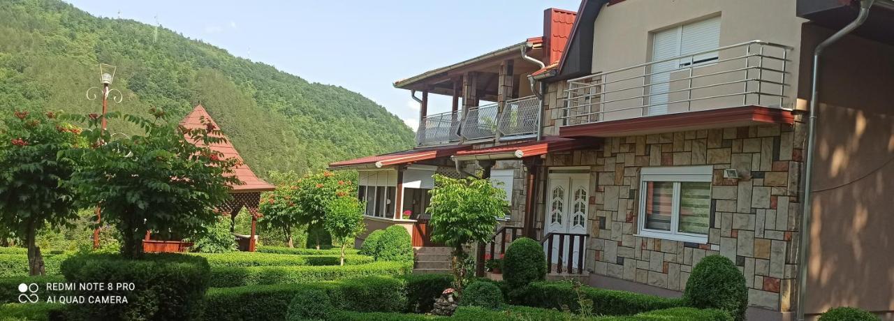 Guest House Vila Aleksa Bogutovac Kültér fotó