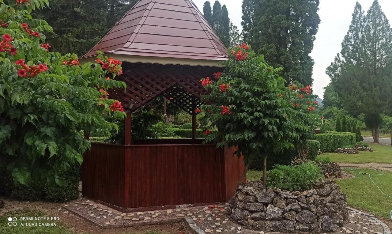 Guest House Vila Aleksa Bogutovac Kültér fotó