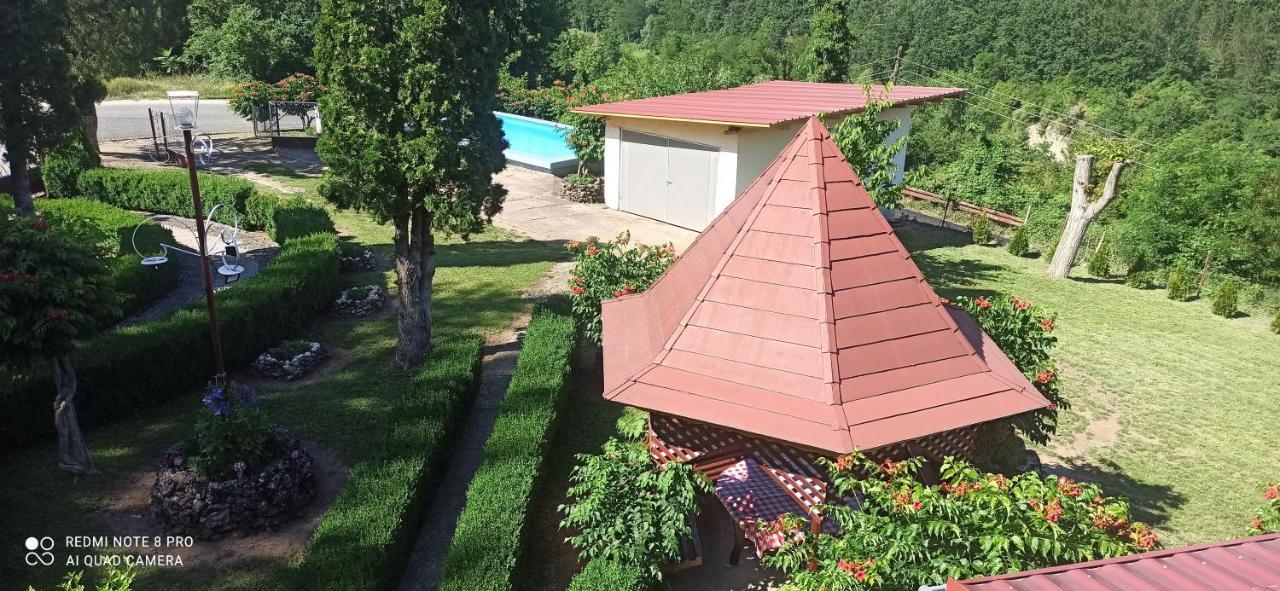Guest House Vila Aleksa Bogutovac Kültér fotó