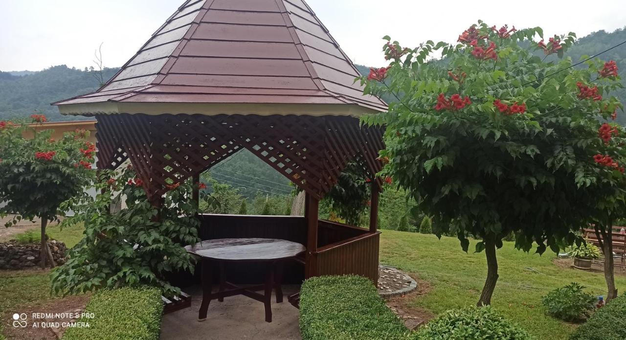 Guest House Vila Aleksa Bogutovac Kültér fotó