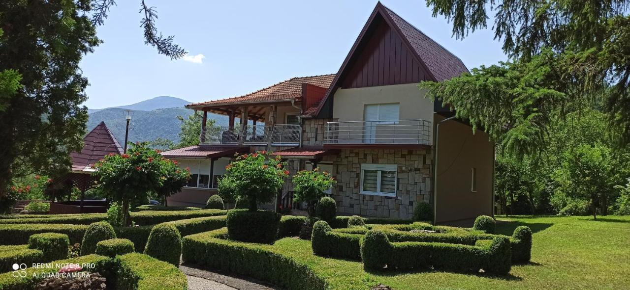 Guest House Vila Aleksa Bogutovac Kültér fotó